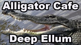 Alligator cafe deep ellum