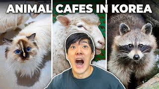 Animal cafe near me